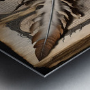 book quill feather Metal print
