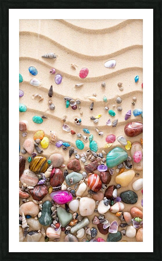 Sea shells colourful Picture Frame print