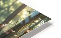 tigers animals HD Metal print