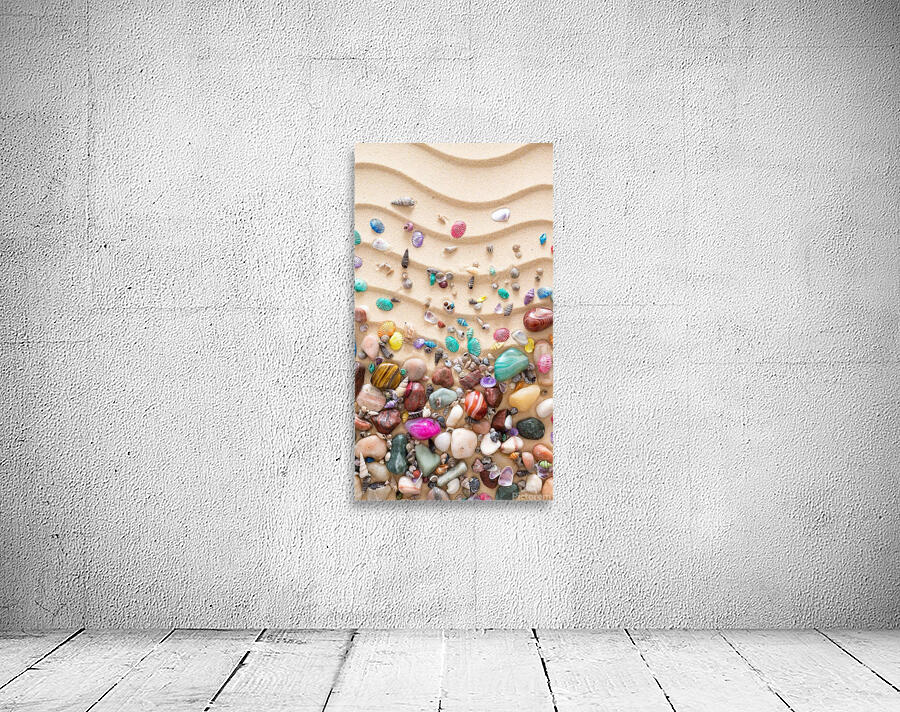Sea shells colourful Wall Preview