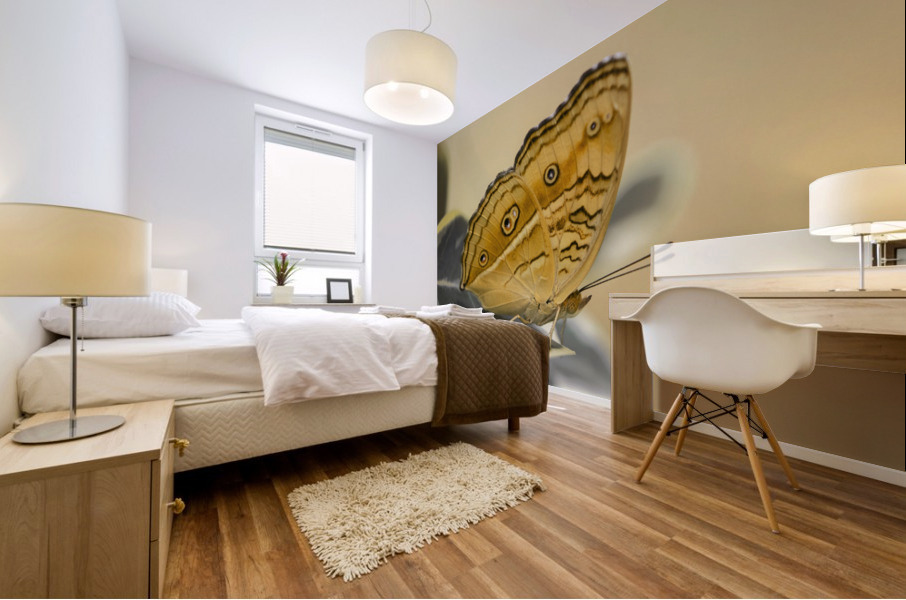 Beautiful Butterfly Mural print