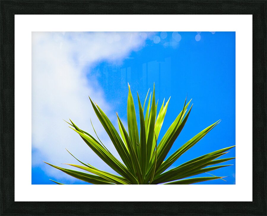  Fine Art print