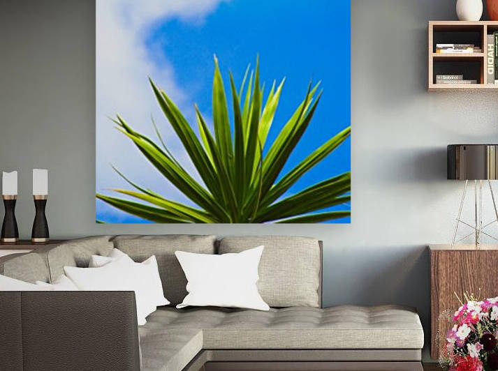 Green Leaf Blue Sky by Shajhan Sheriff