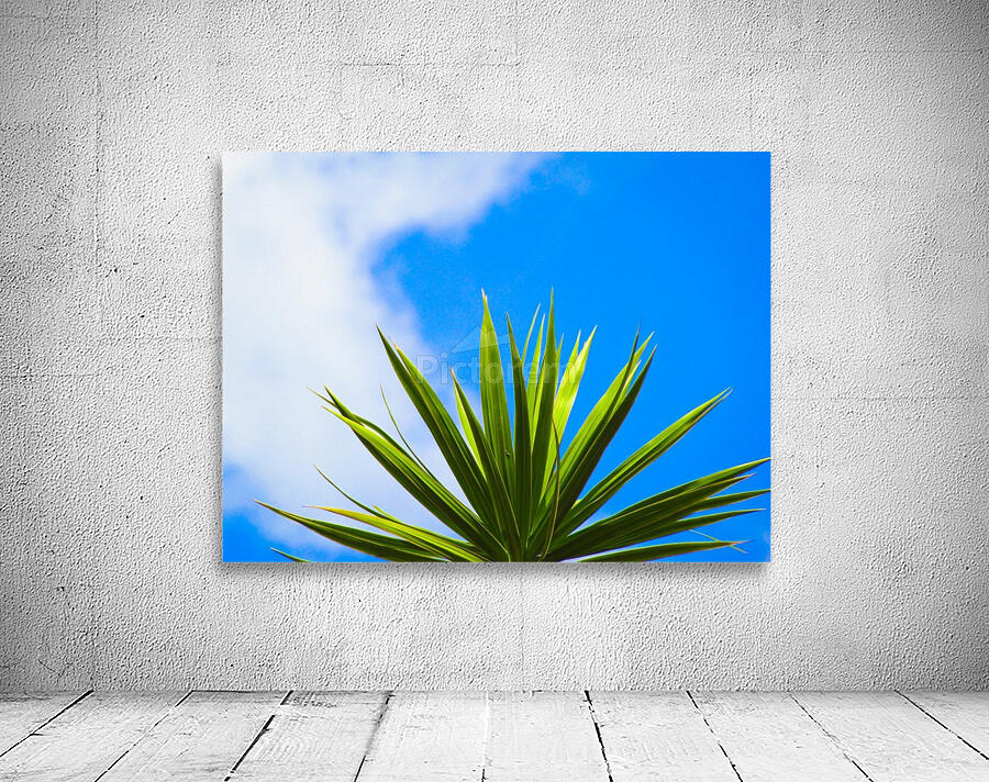 Green Leaf Blue Sky Wall Preview