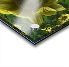 Bee on Sunflower Acrylic print