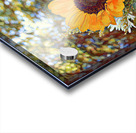 Summer Sunflower  Acrylic print