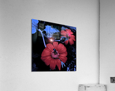 Twilight Hour Acrylic Print