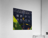 Dream Weaver Acrylic Print