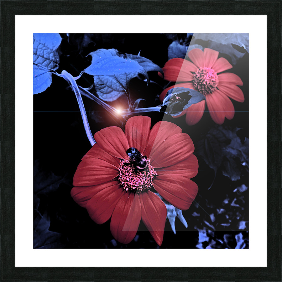 Twilight Hour Picture Frame print
