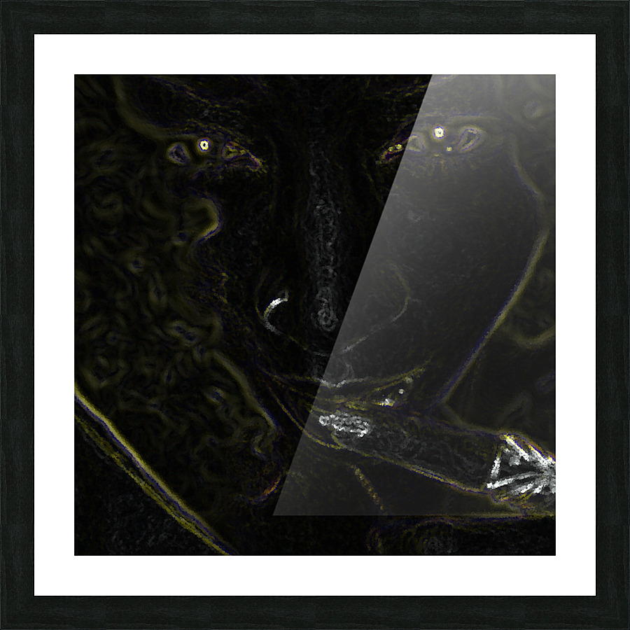  Fine Art print