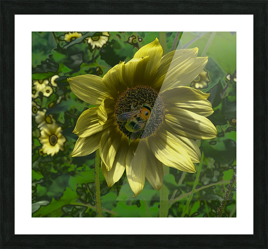  Fine Art print