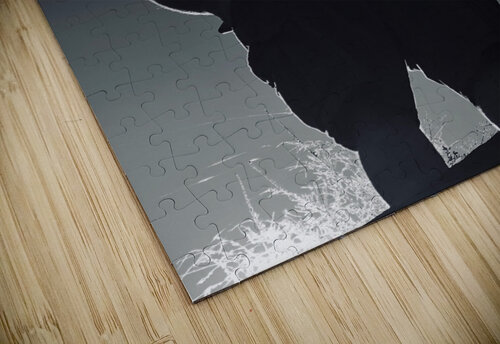 View From Above ROTESIA SUTTON PELLETTERE puzzle
