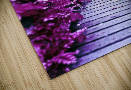 Lavender Bridge ROTESIA SUTTON PELLETTERE puzzle