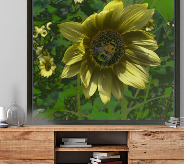 Bee on Sunflower Reproduction