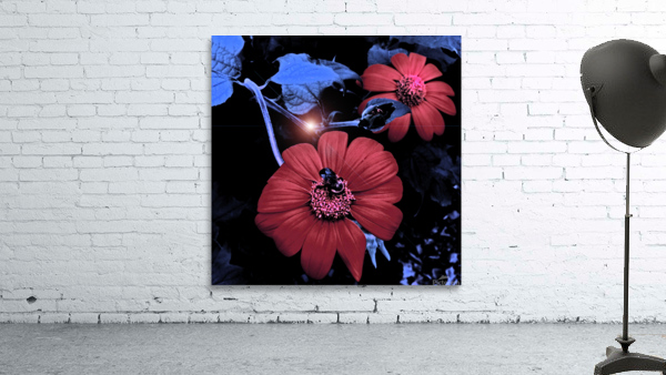 Twilight Hour Wall Preview