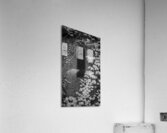 Ivy and Gothic Window Acrylic Print