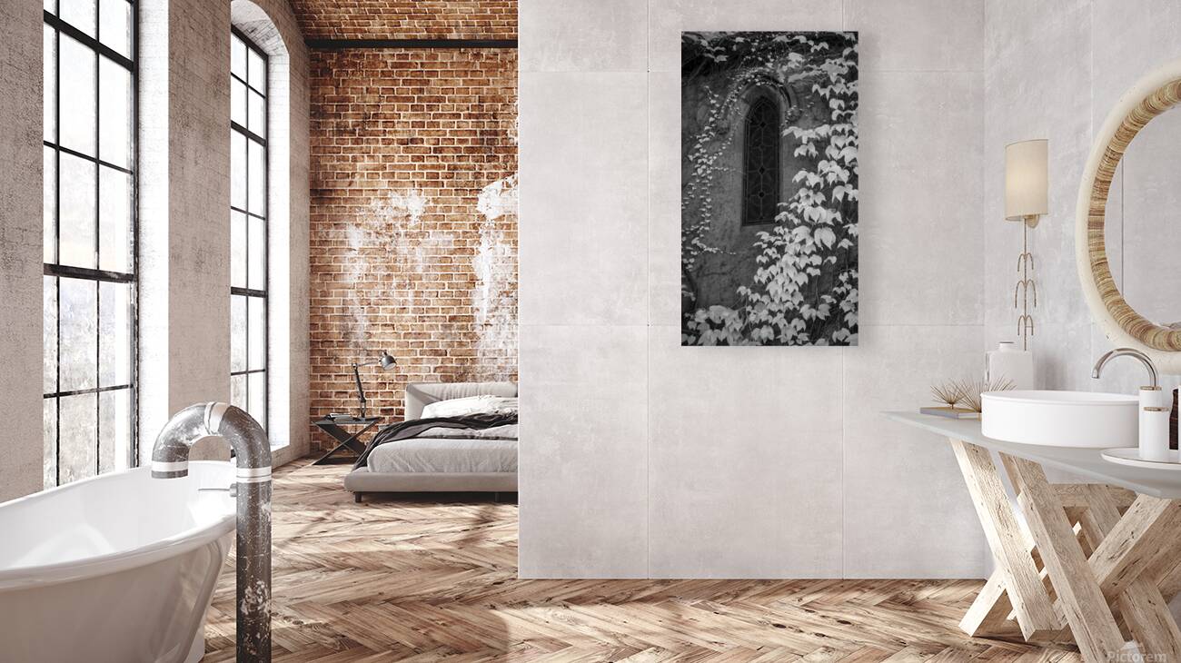 Ivy and Gothic Window Reproduction
