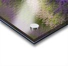 Lavender  Acrylic print