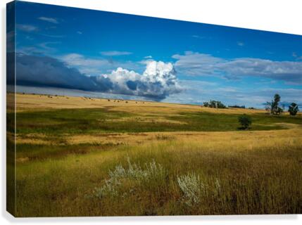 Montana Sky Canvas Print