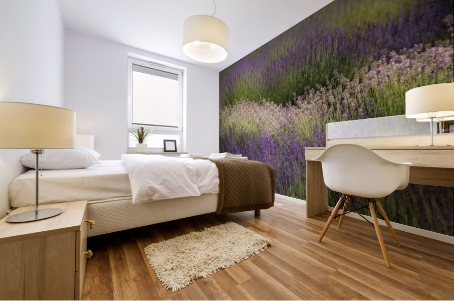Lavender  Mural print