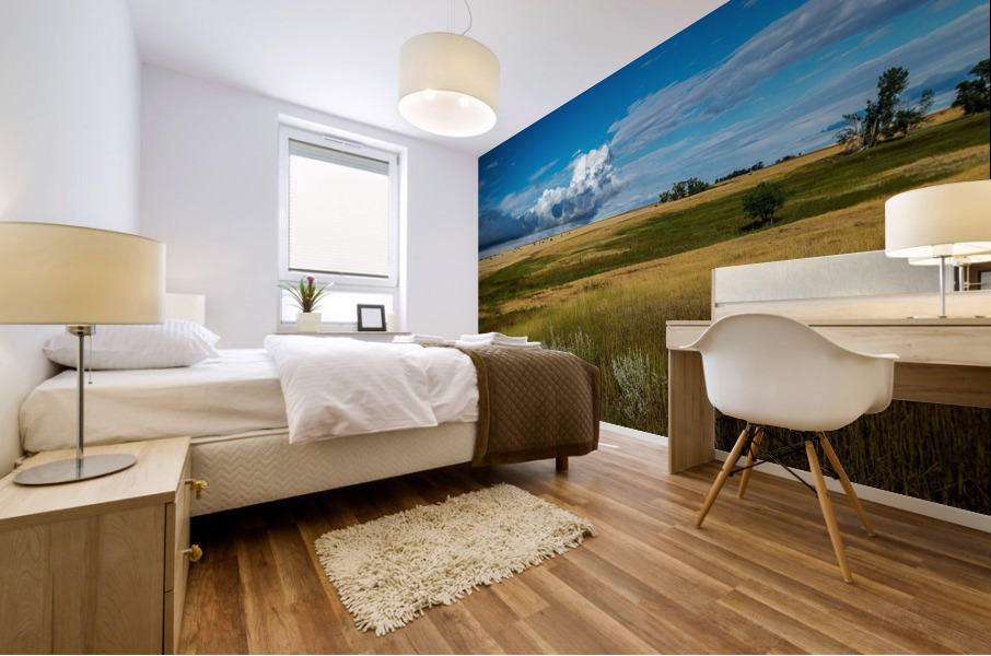 Montana Sky Mural print