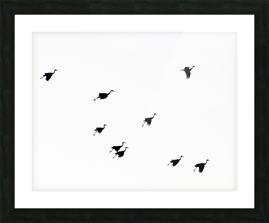 Soft Landing Picture Frame print