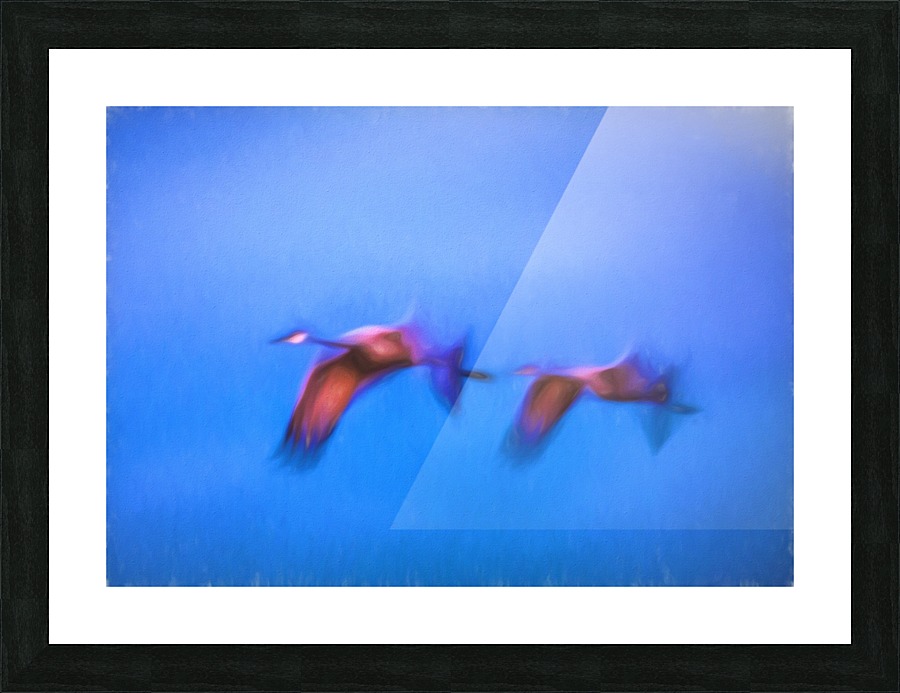 Flight Picture Frame print