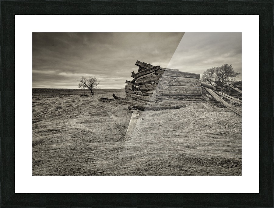 Lost Dreams Picture Frame print