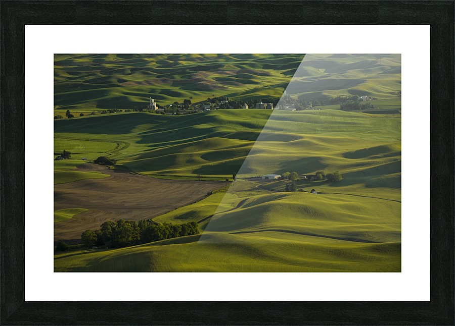 The Palouse  Picture Frame print