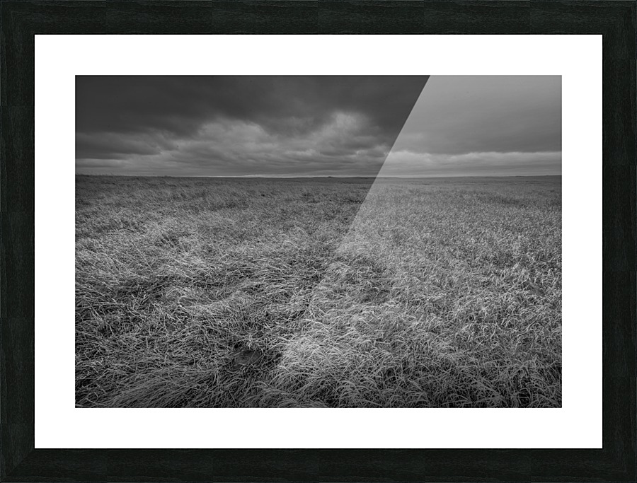 Desolute Picture Frame print