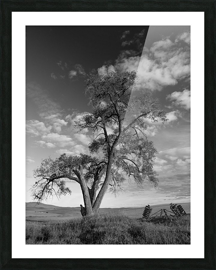 The Tree Picture Frame print