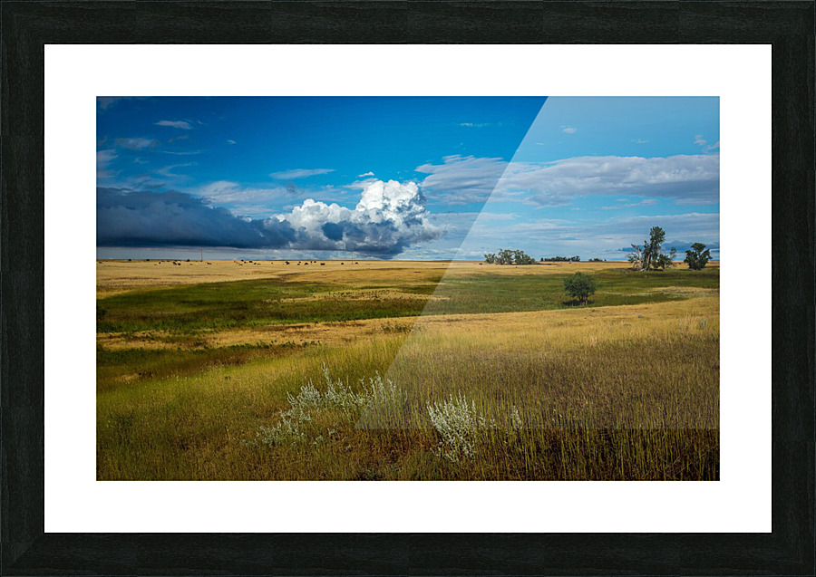 Montana Sky Picture Frame print