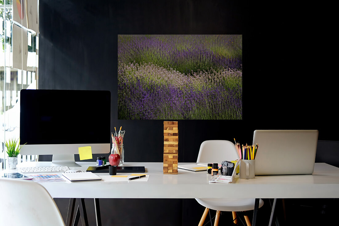 Lavender  Reproduction