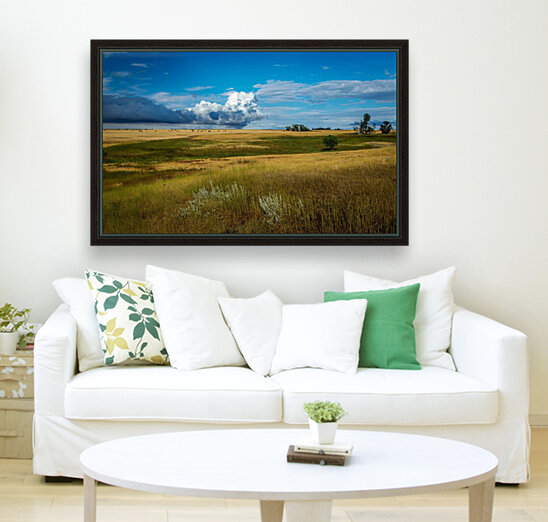 Montana Sky Reproduction