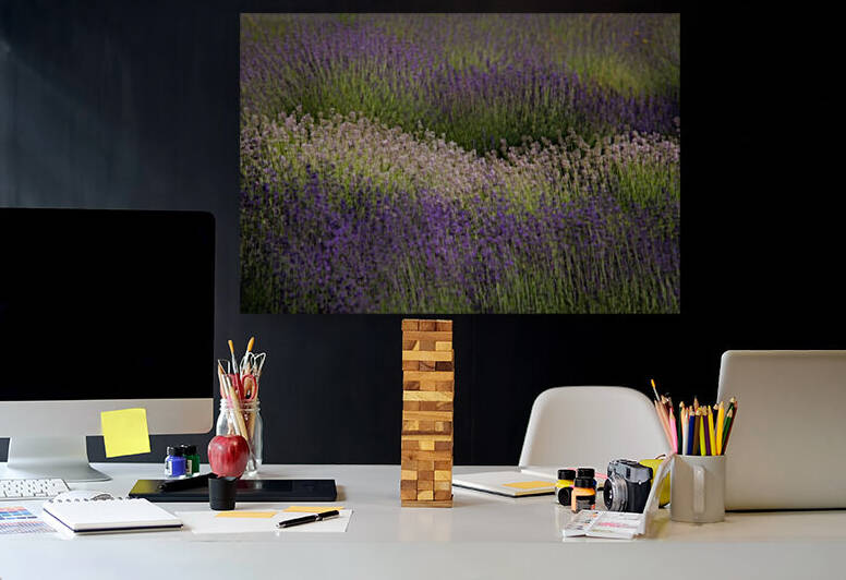 Lavender  by John Moore