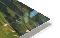 The Palouse  HD Metal print