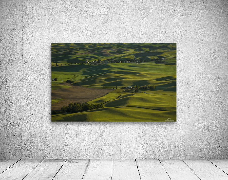 The Palouse  Wall Preview