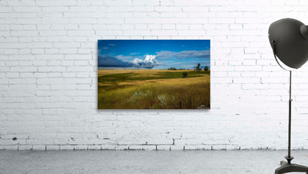 Montana Sky Wall Preview