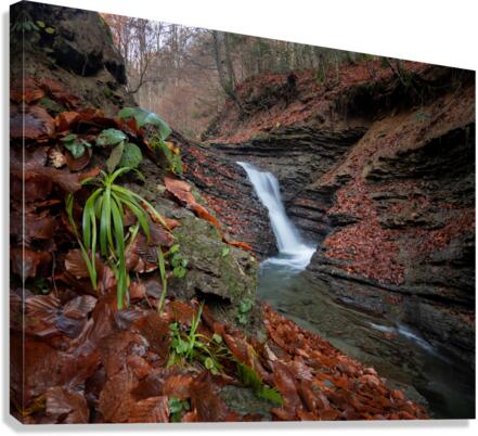Waterfall in Fall Canvas Print