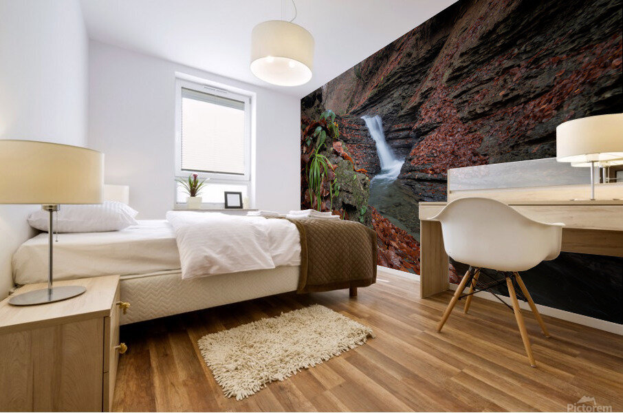 Waterfall in Fall Mural print