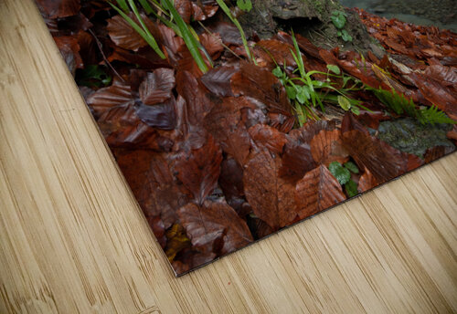 Waterfall in Fall Andrii Piddubrivnyi puzzle