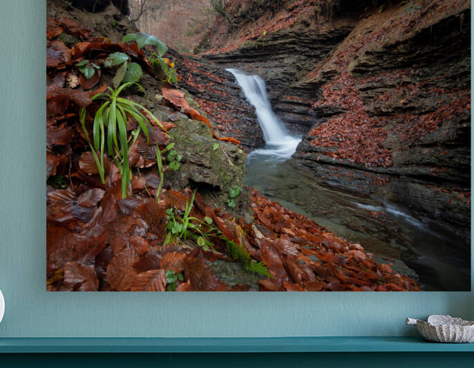 Waterfall in Fall by Andrii Piddubrivnyi