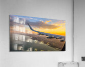 Golden Hour Flight Acrylic Print