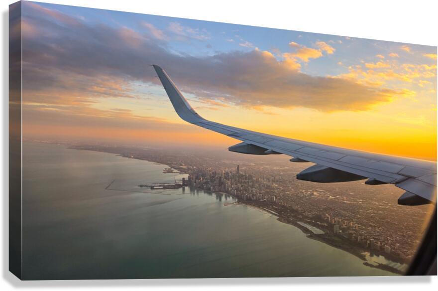 Golden Hour Flight Canvas Print