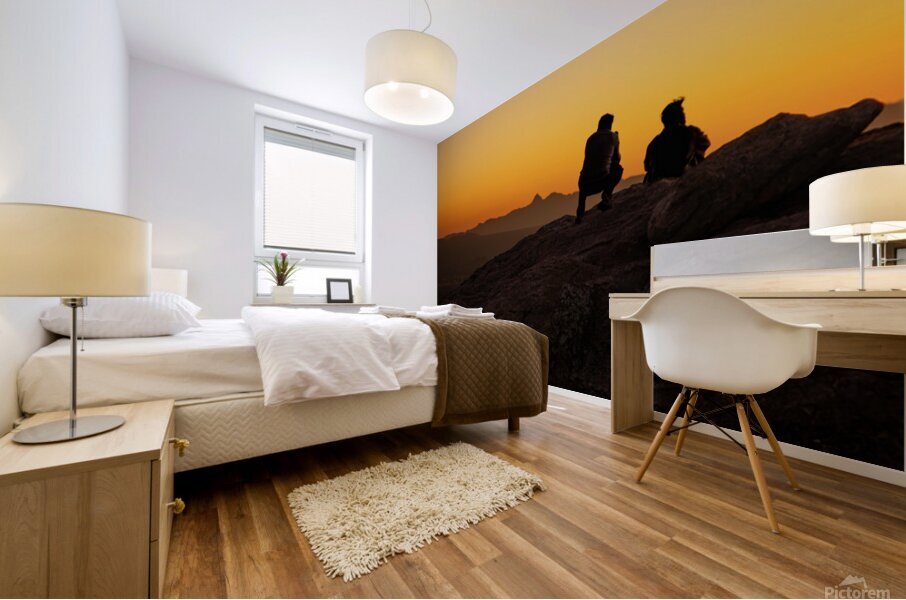 Sunset Confidants  Mural print
