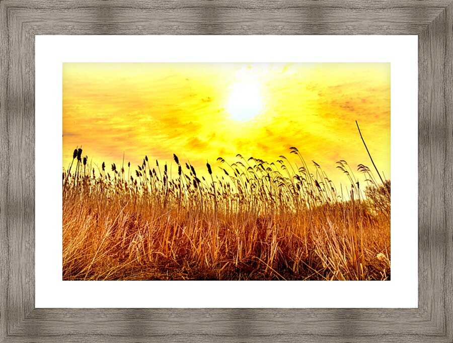 Cattail Cluster Picture Frame print