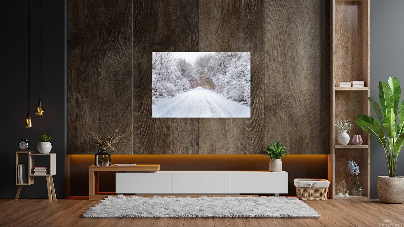 Winter Trail Reproduction