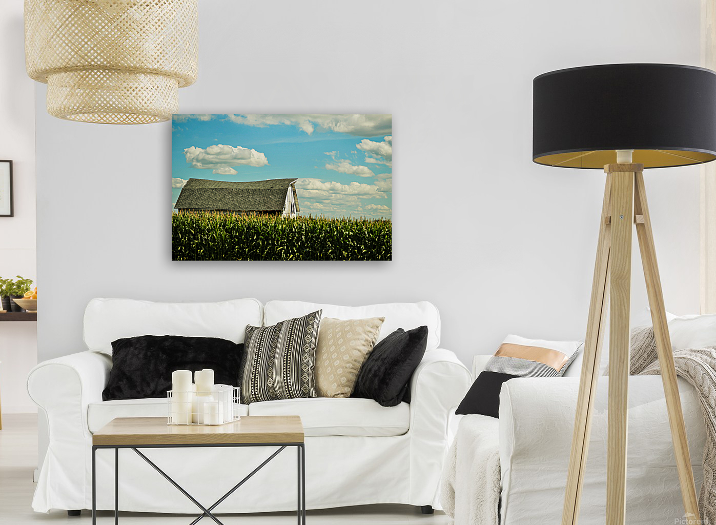 Barn in a Cornfield Reproduction