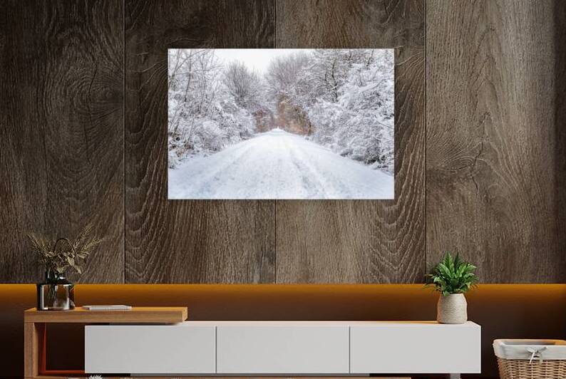 Winter Trail by Roxane Frenette Faulkner
