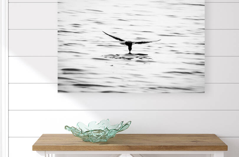 Bird on the Water by Roxane Frenette Faulkner